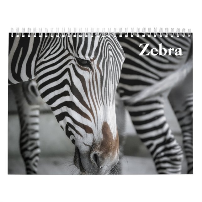 Calendário Zebra 2025 (Capa)