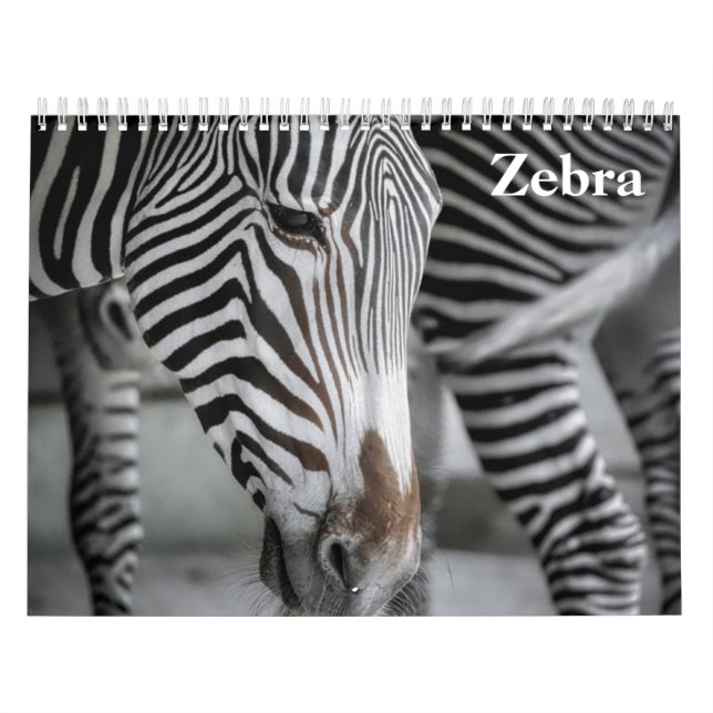 Calendário Zebra 2025 (Capa)
