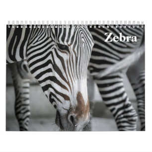 Calendário Zebra 2025