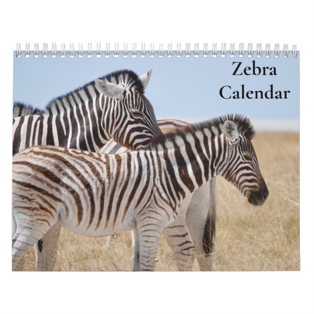 Calendário Zebra 2027 (Capa)