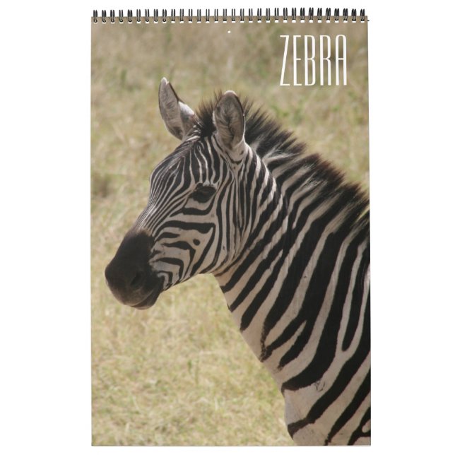 Calendário zebra áfrica (Capa)