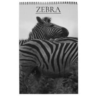 Calendário zebra safari