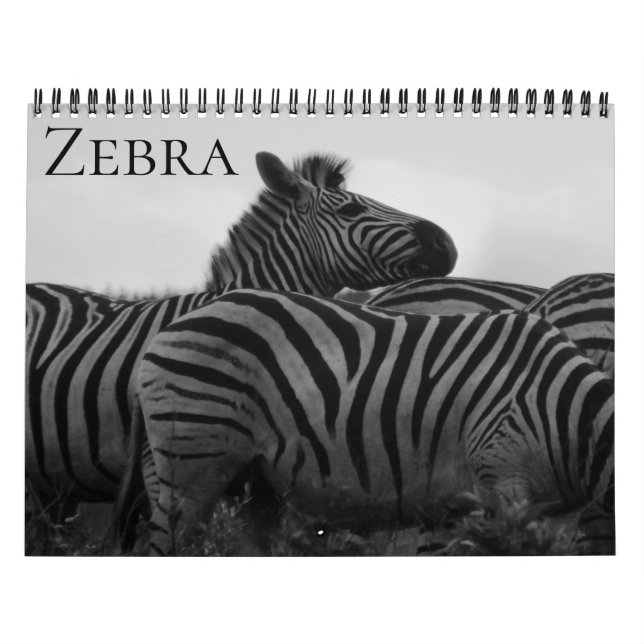 Calendário zebra safari 2026 (Capa)