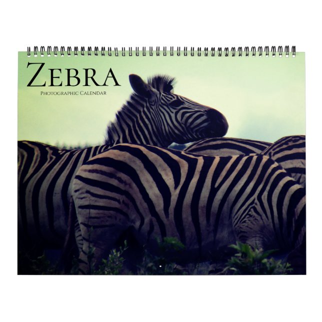 Calendário zebra safari 2027 grande (Capa)