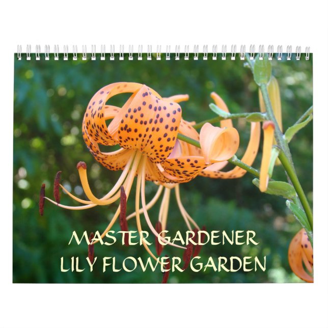 CALENDÁRIOS DO LILY FLOWERS Dons do Master Gardene (Capa)