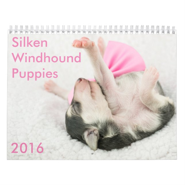calendários macios de 5 2016 filhotes de cachorro (Capa)