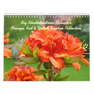 Calendários Rhodies Rhododendrons Vermelho Laranja