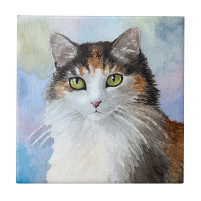 Calico Cat 572 Blue Large Gift Box (Frente)