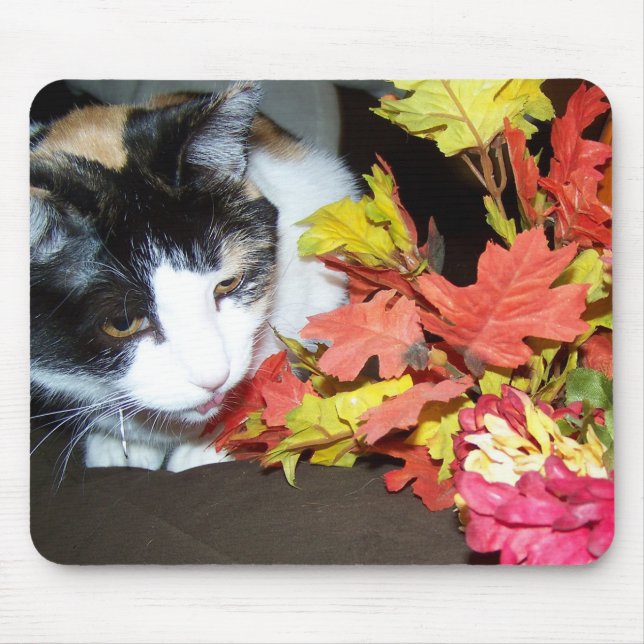 Calico Cat Autumn Fall Deixa Mousepad (Frente)