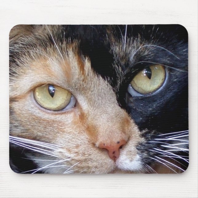 Calico cat mousepad (Frente)