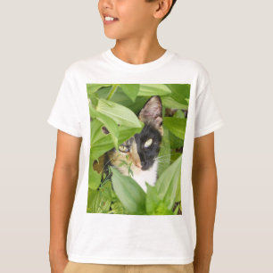 Calico Cat na camiseta Zinnias