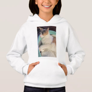 Calico Cat na Cat Bed