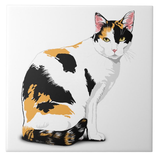 Calico Cat Personalizado (Frente)