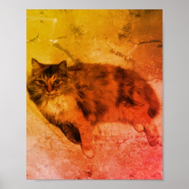 Calico Cat Poster (Frente)
