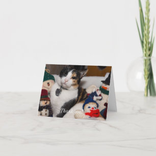 Calico E Cartões de agradecimentos De Snowmen