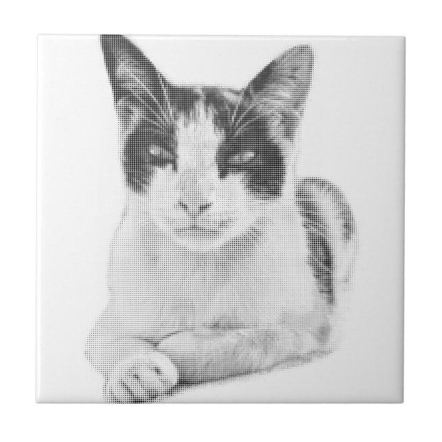 Calico Pop Meia-tinta (Frente)