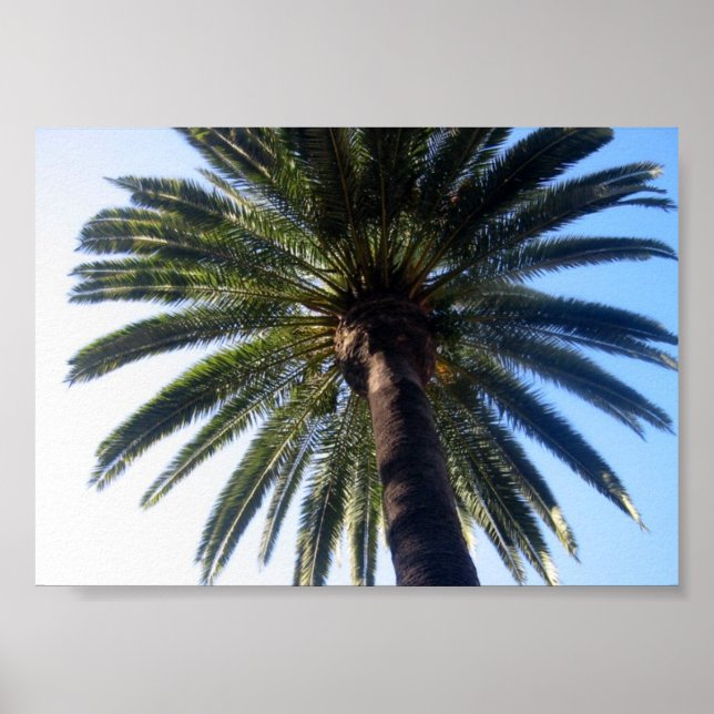 California Beach Palm Tree Custom Poster Art Impre (Frente)