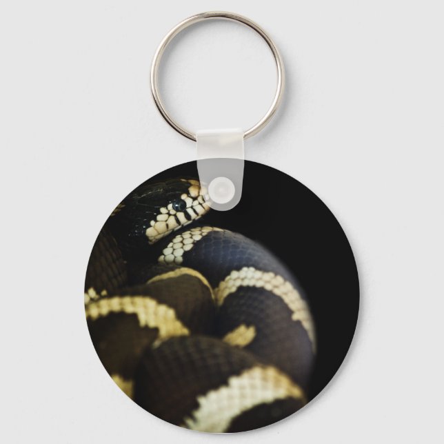 California King Cobra Chaveiro (Frente)