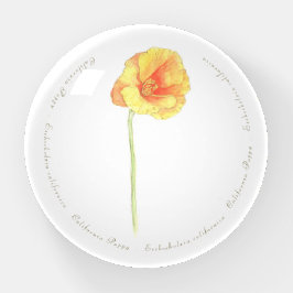 California Poppy