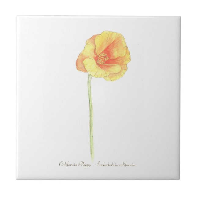 California Poppy Stone Porta copos (Frente)
