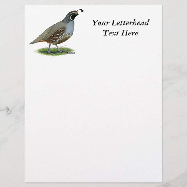 California Valley Quail (Frente)