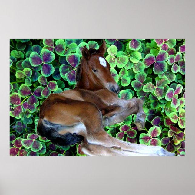 CALISTA NA Poster DE CLOVER (Frente)