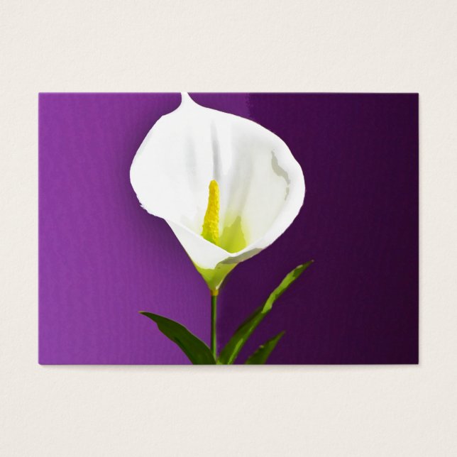 Calla Lilly (Frente)