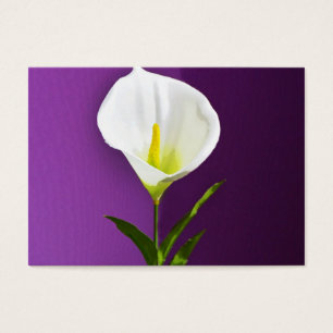 Calla Lilly