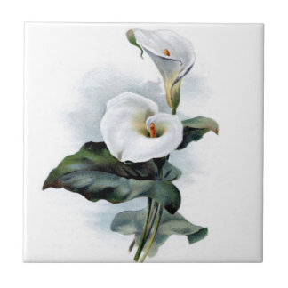 Calla Lily Design