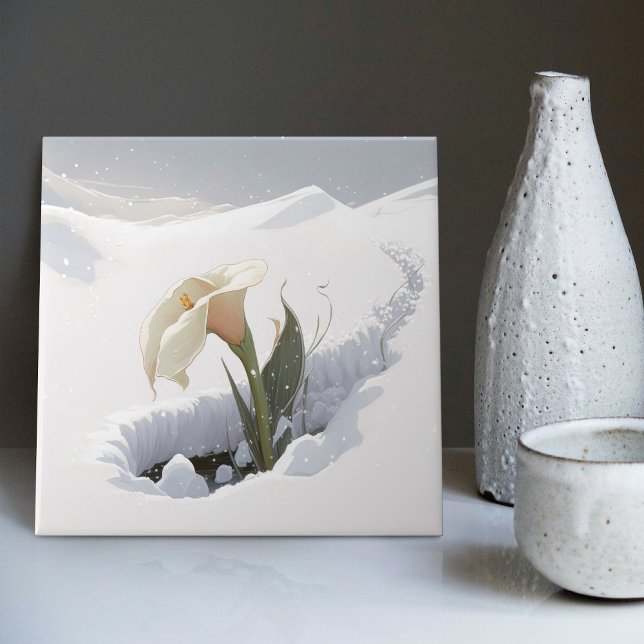 Calla Lily na Montanha Quebrando Neve (Criador carregado)