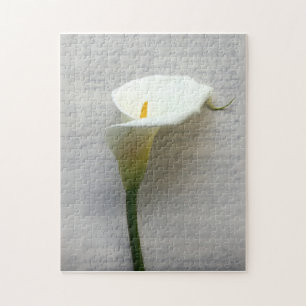 calla lily na quebra-cabeça de escrita antiga