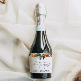 CALLIOPE Clementine Orange Pop Quando Pop