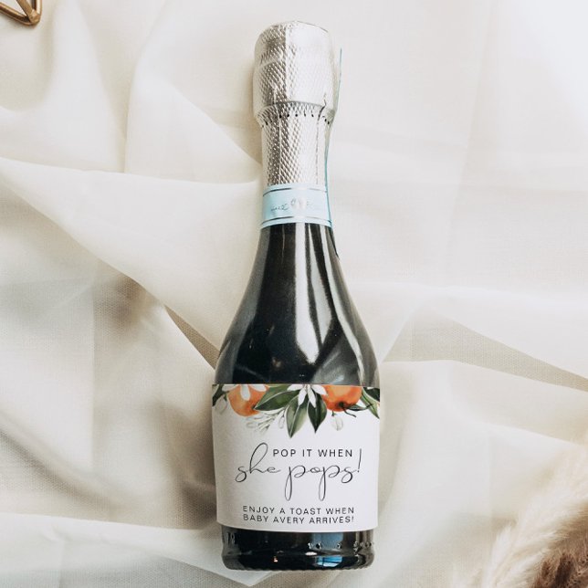 CALLIOPE Clementine Orange Pop Quando Pop (Criador carregado)