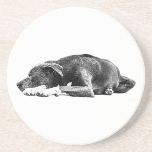 Calm Pitbull Misture Porta copos de Arte por Perda