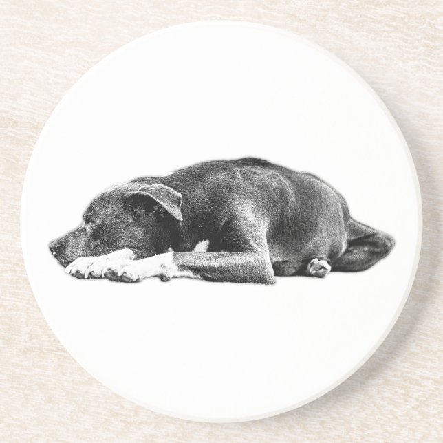 Calm Pitbull Misture Porta copos de Arte por Perda (Frente)