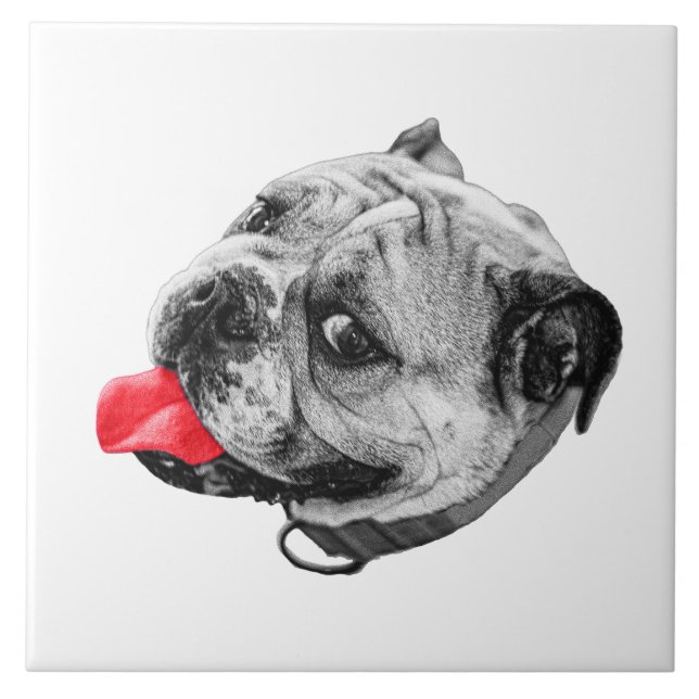 Calm Set with Warmth (Frente)