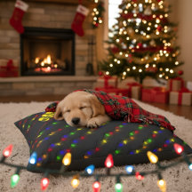 Corda de luz colorida de Natal