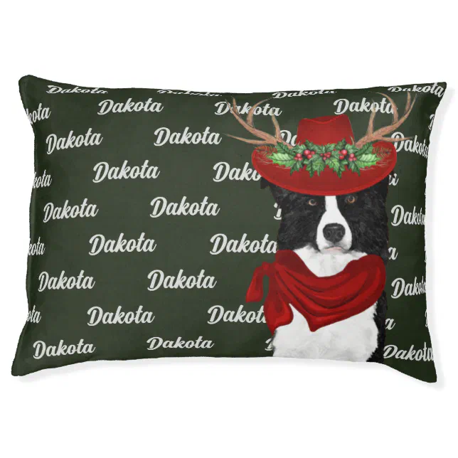 Cama para best sale border collies