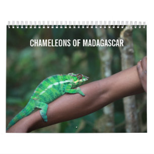 Camaleões do calendário de Madagascar