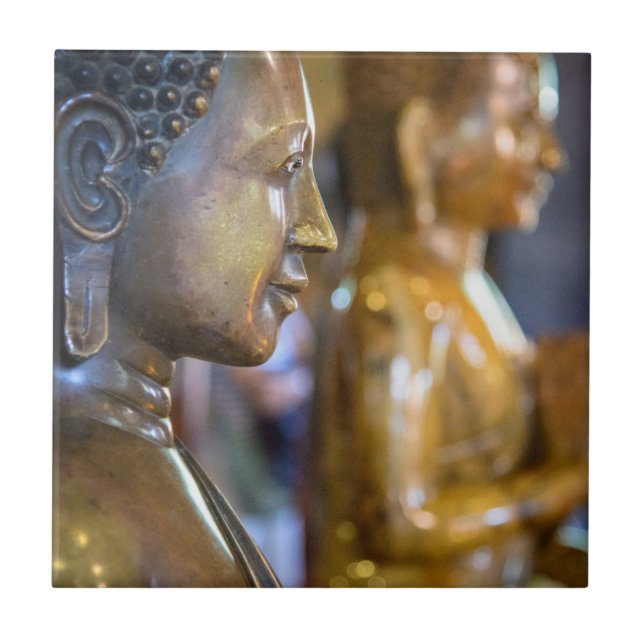 Camboja, Phnom Penh. Estátuas de Buda (Frente)