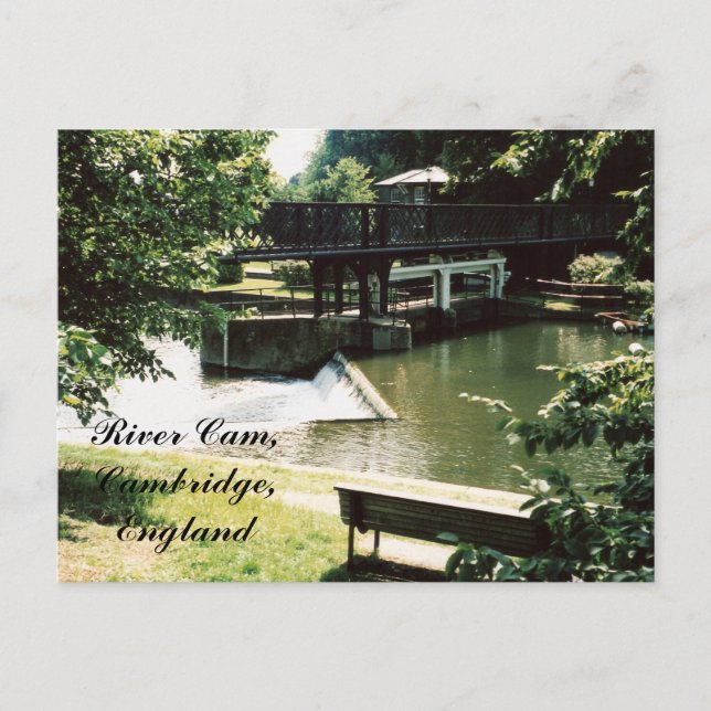 Came do rio, cartão de Cambridge (Frente)