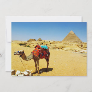 Camel