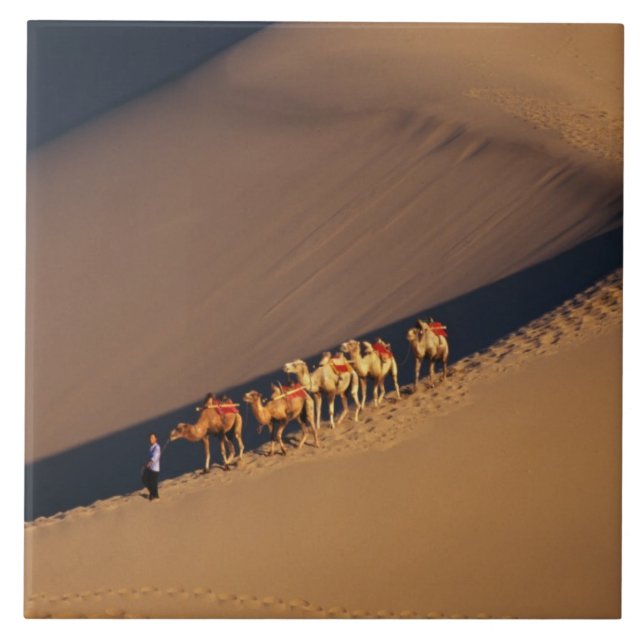 Camel Caravan no deserto, Dunhuang, Gansu (Frente)