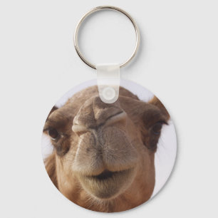 Camel Chaveiro