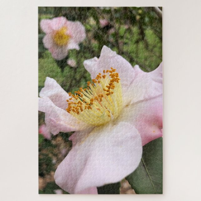 Camélia Rosa Floral Quebra-Cabeça (Vertical)