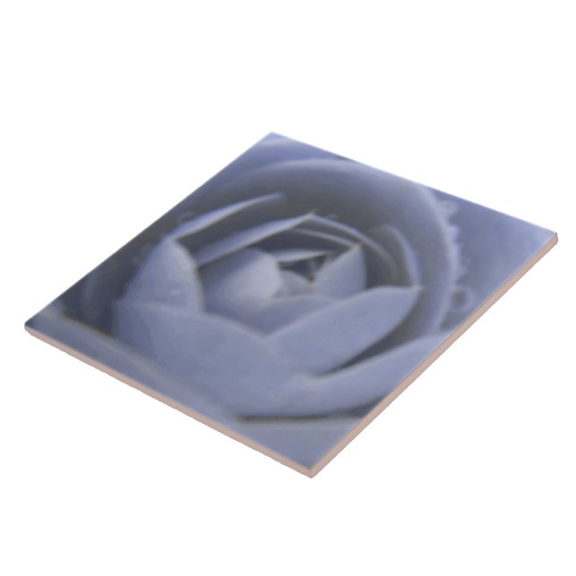 Camellia Frozen BeauAzulejo (Lateral)