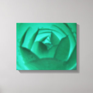 Camellia Hypnotic Canvas Print