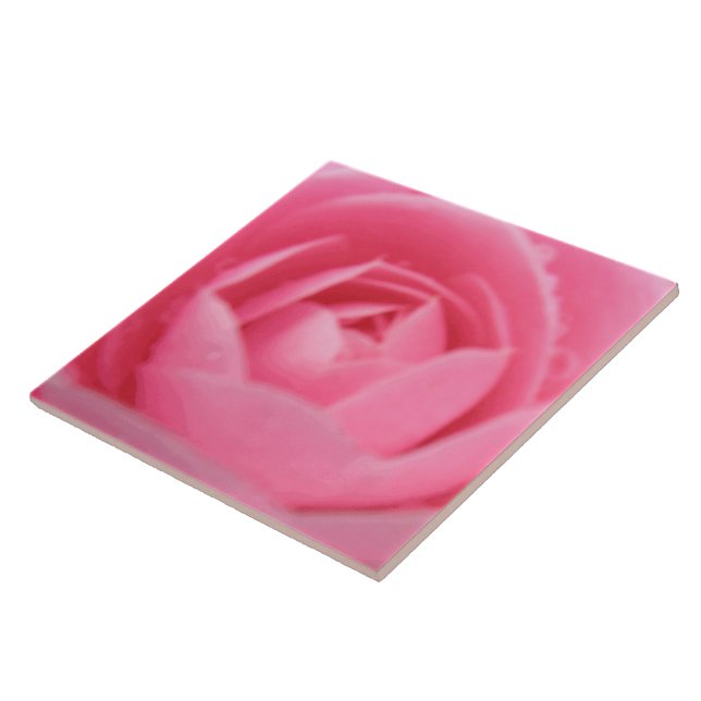 Camellia Pink Azulejo (Lateral)