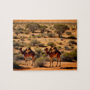 Camelos australianos Outback, Quebra-cabeça de ser