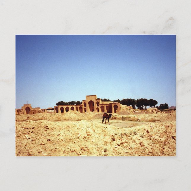 Camelos de cartão postal na Antiga Rota da Seda Kh (Frente)